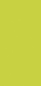 54C  Verde chiaro